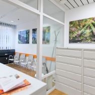 Empfang mit Blick zu den Patienten